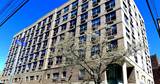 The Willows At Park Pointe Apartments